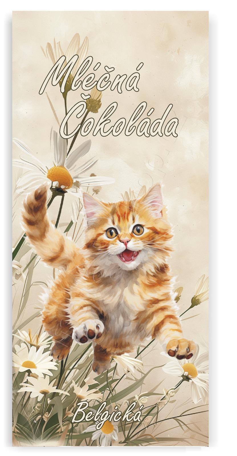 Masha Kotě 100g/24ks mléčná čokoláda Belgická