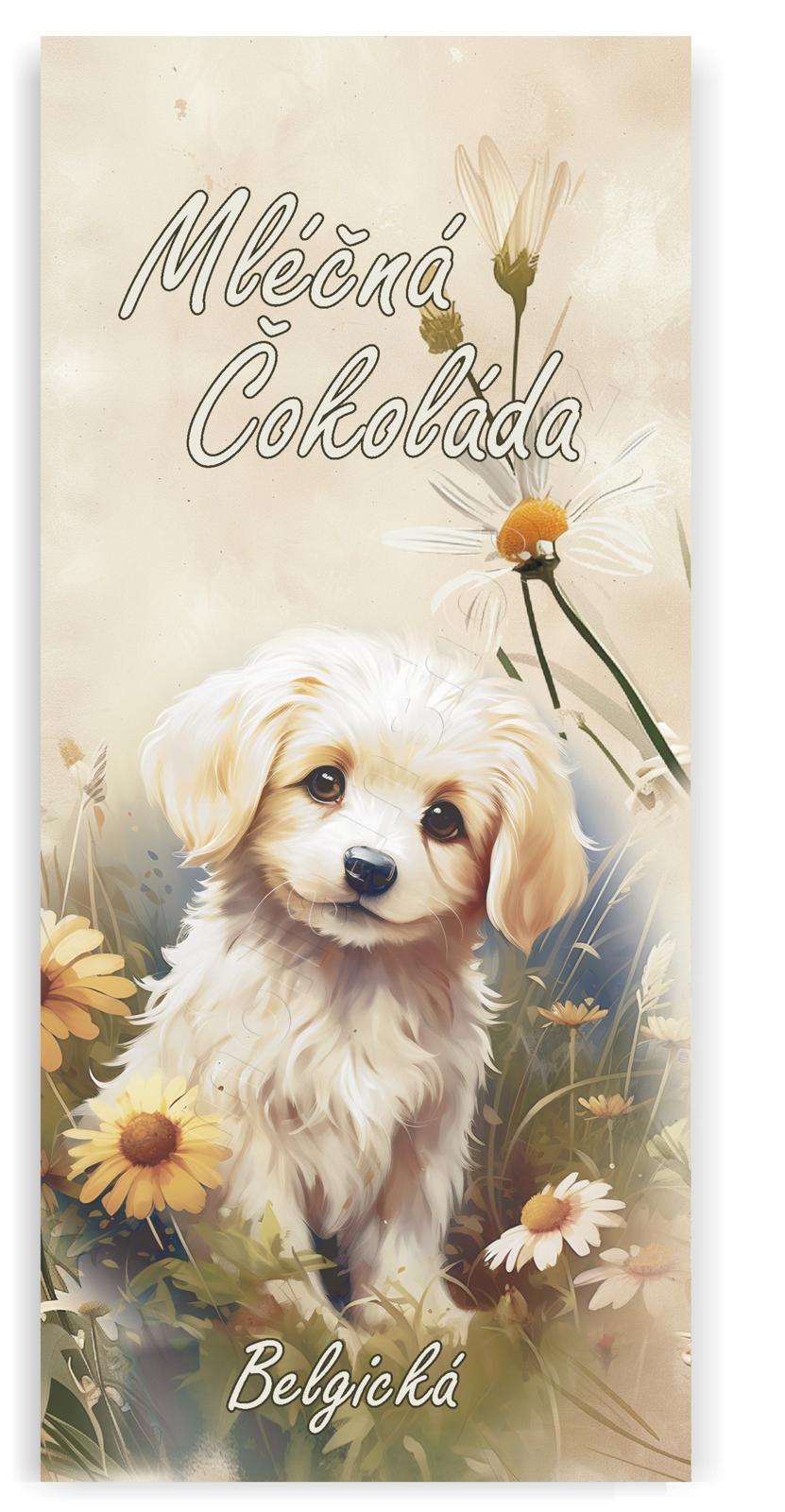 Masha Pes 100g/24ks mléčná čokoláda Belgická