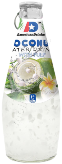 RI BASIL Drink COCONUT water 290ml/24ks