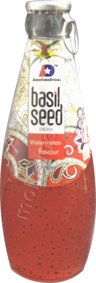 RI BASIL Watermelon Seed 290ml/24ks meloun