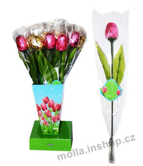 Chocolate Tulip 16g/18ks tulipán