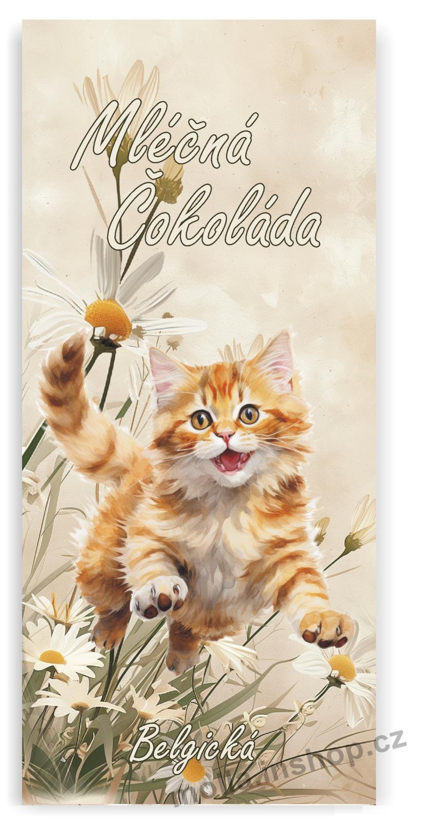 Masha Kotě 100g/24ks mléčná čokoláda Belgická