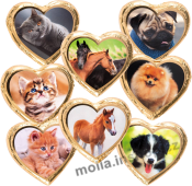 Nugátové srdíčko kotě,pes,kůň  24g/40ks