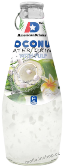 RI BASIL Drink COCONUT water 290ml/24ks